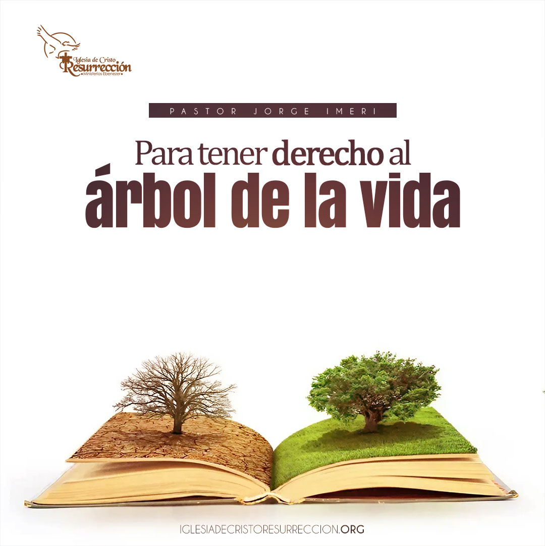 para-tener-derecho-al-árbol-de-la-vida